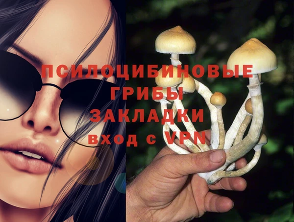 мет Белокуриха