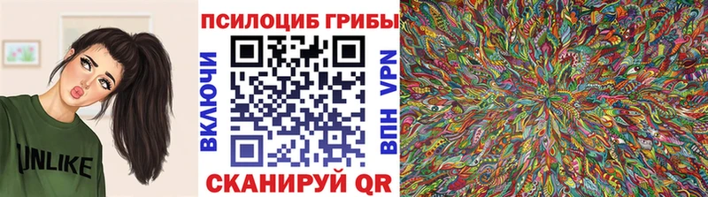 Псилоцибиновые грибы Psilocybine cubensis  Короча 